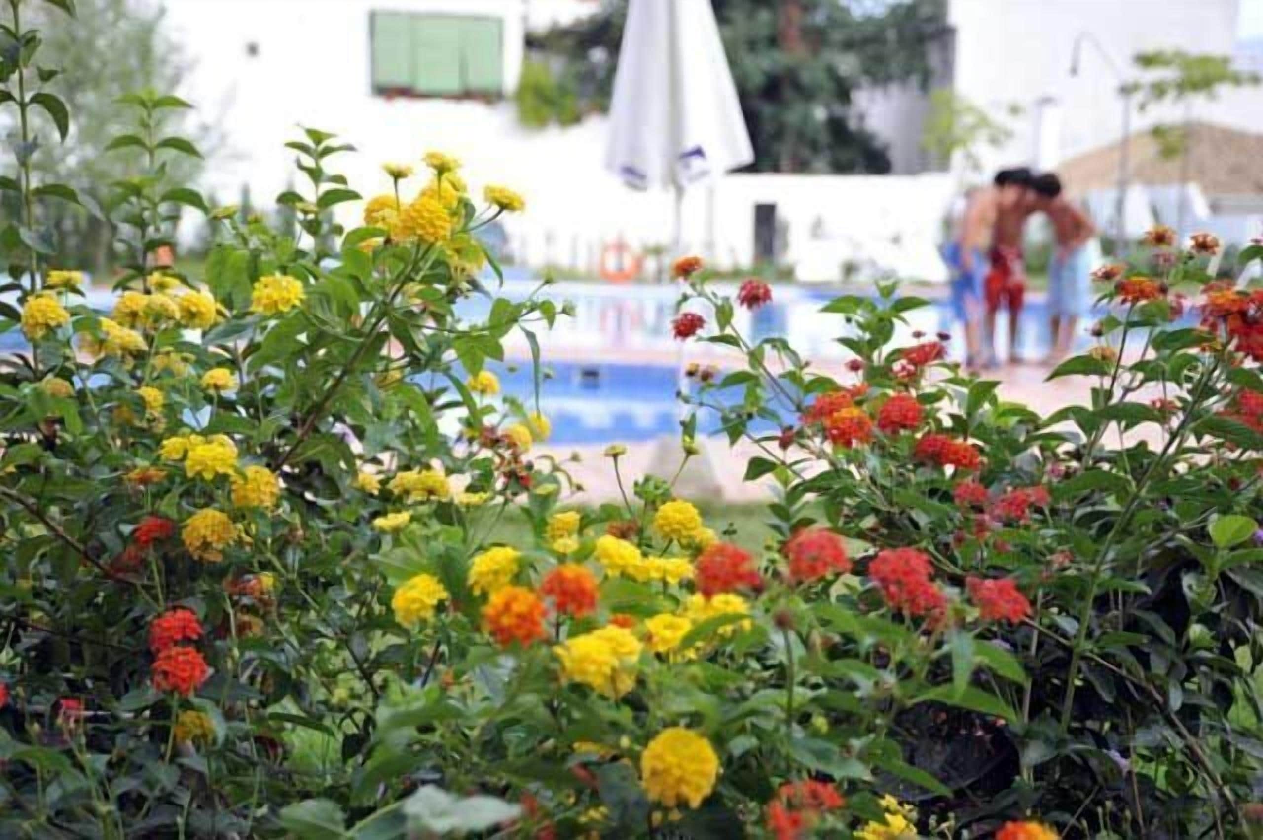 Foto - Andalucía