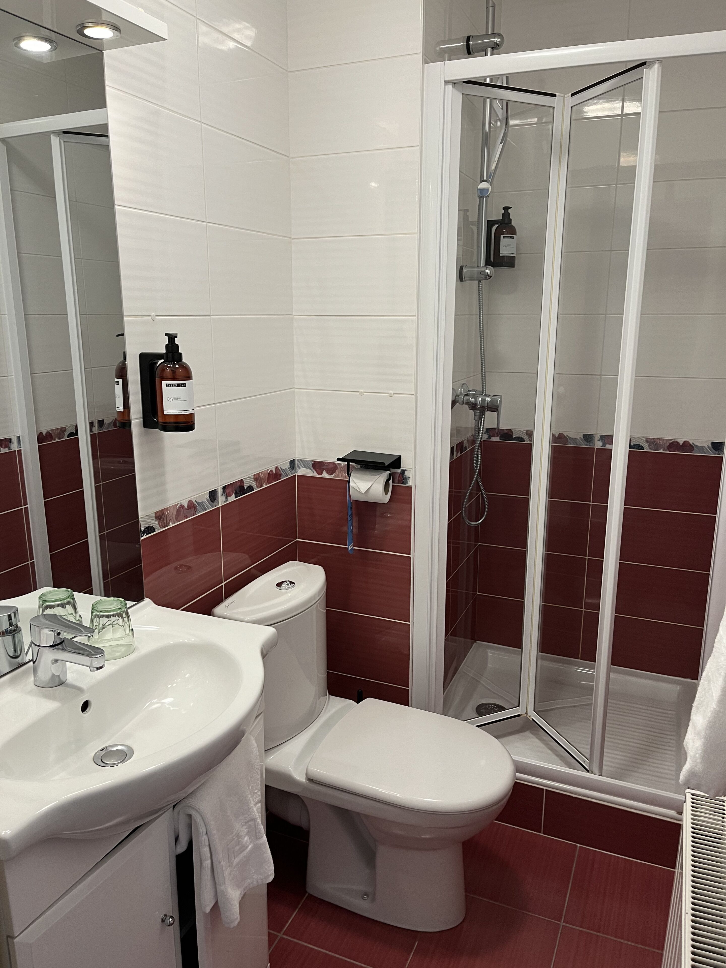 single room | bathroom | free toiletries, hair dryer, towels