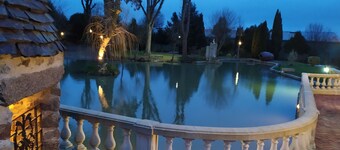 Oasis