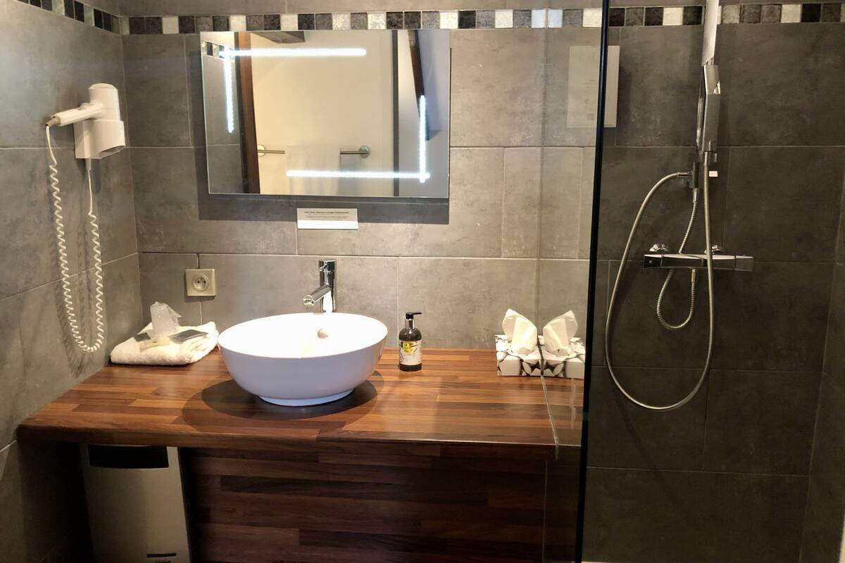 standard single room | bathroom | hair dryer, towels