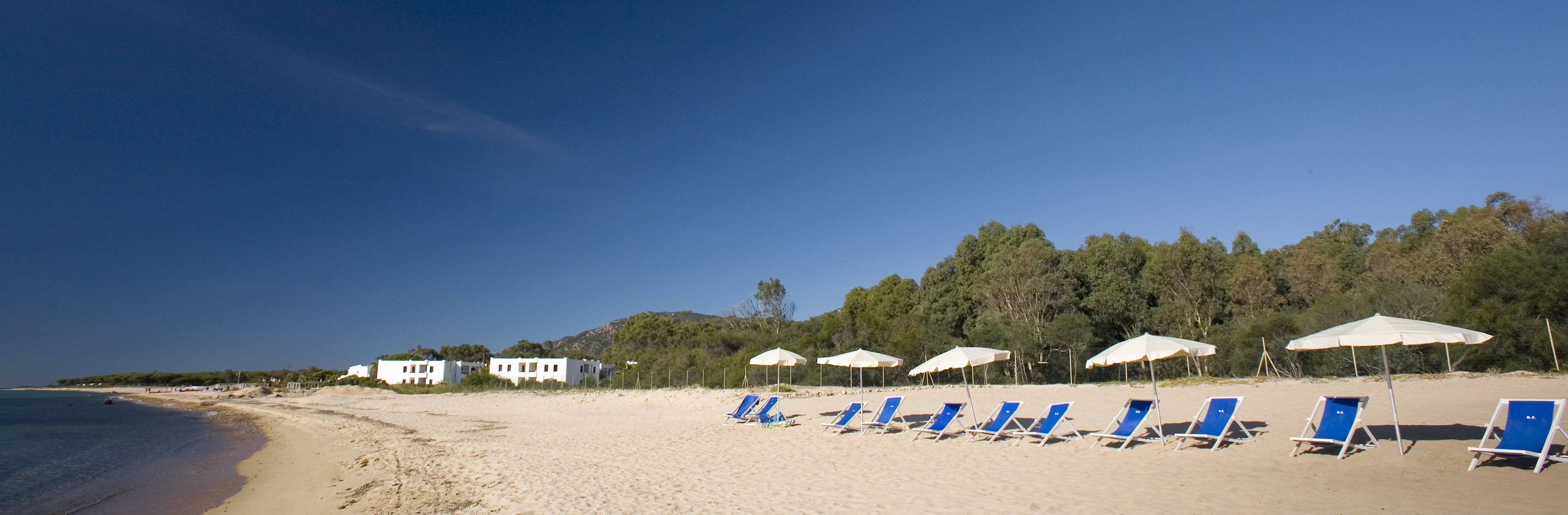 A beach with blue lounge chairs and white umbrellas, a sandy shore, and white buildings in the background.
