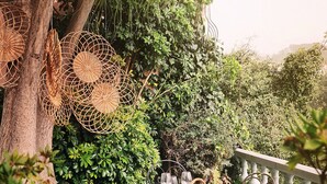 Un área de comedor al aire libre con mesas dispuestas para una comida, rodeada de abundante follaje y un gran árbol.