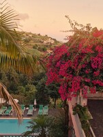 Vista desde la propiedad