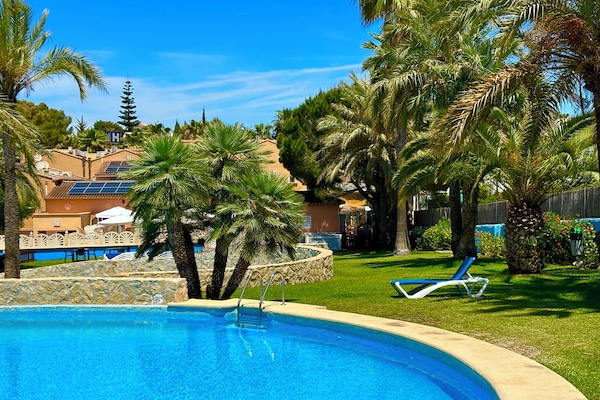 Seasonal outdoor pool, sun loungers