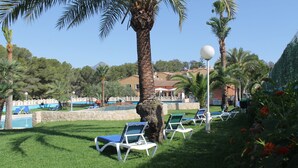 Zona junto a la piscina con sillones de descanso, palmeras y un cielo azul despejado.