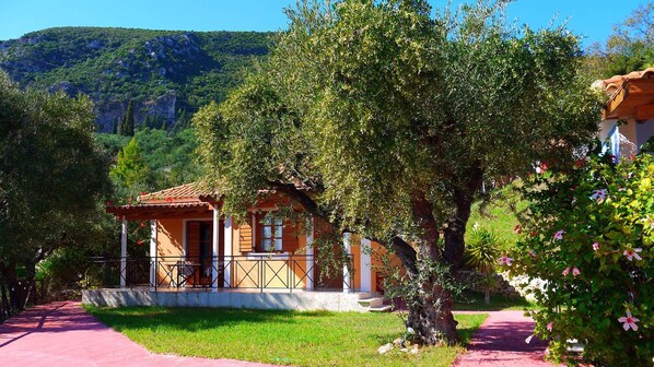 Phong cảnh nhìn từ nơi lưu trú