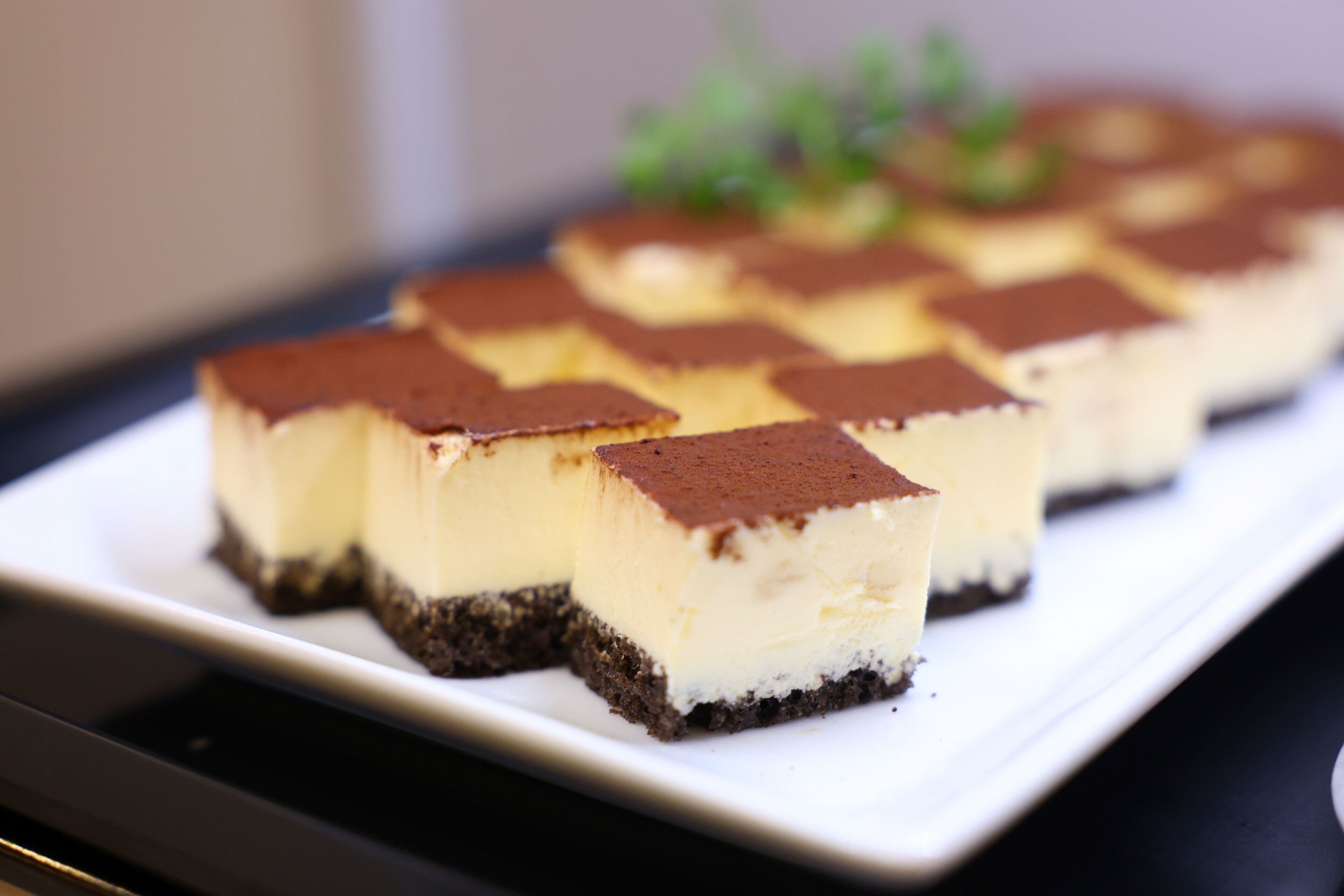 Uma travessa de sobremesas com pedaços quadrados de cheesecake em um prato branco.