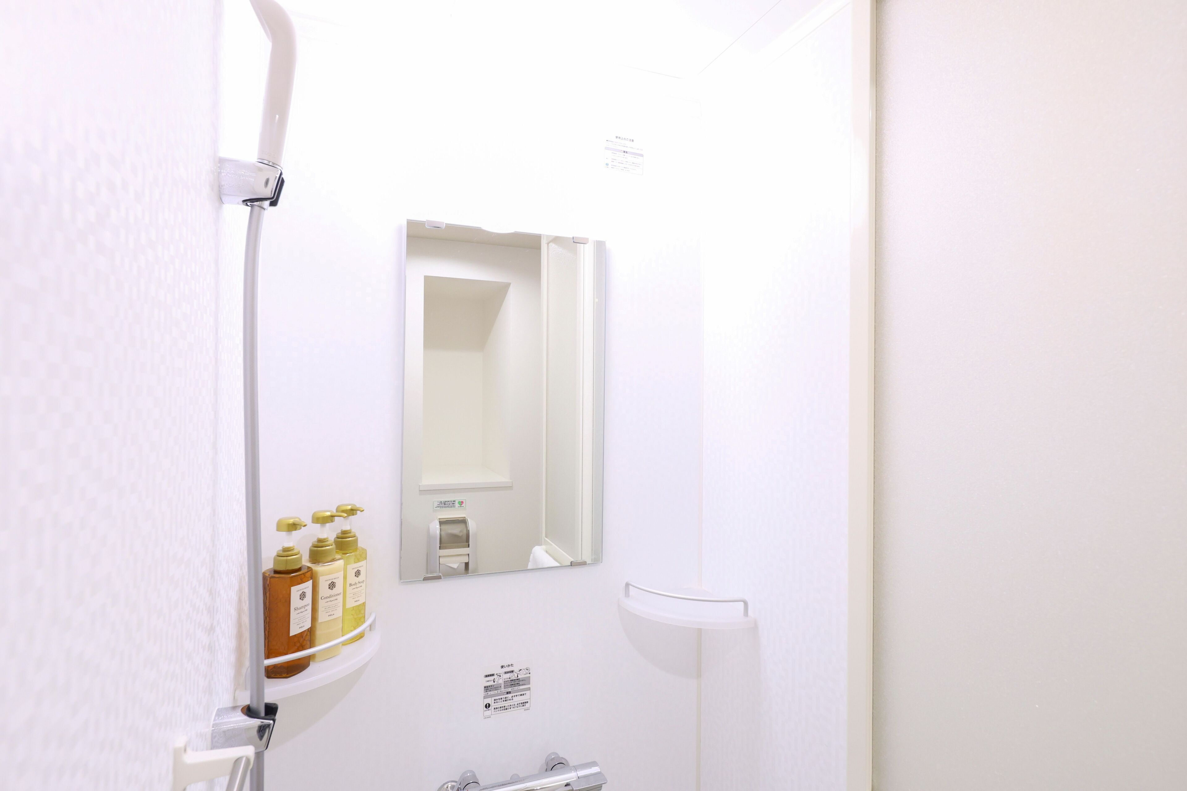 Une salle de bain avec un lavabo blanc, un miroir et deux bouteilles de shampoing.