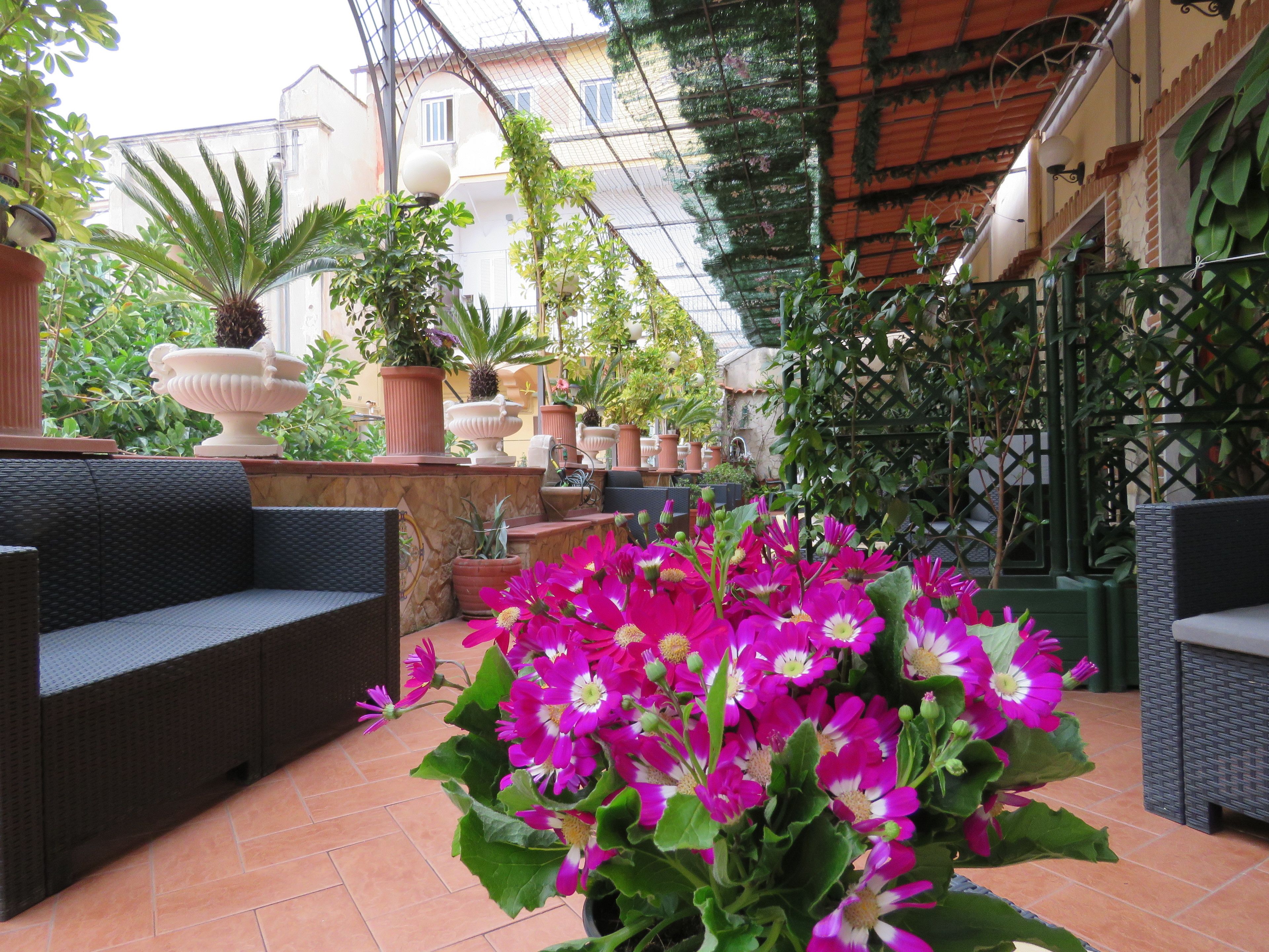 Foto - Bed & Breakfast Medea