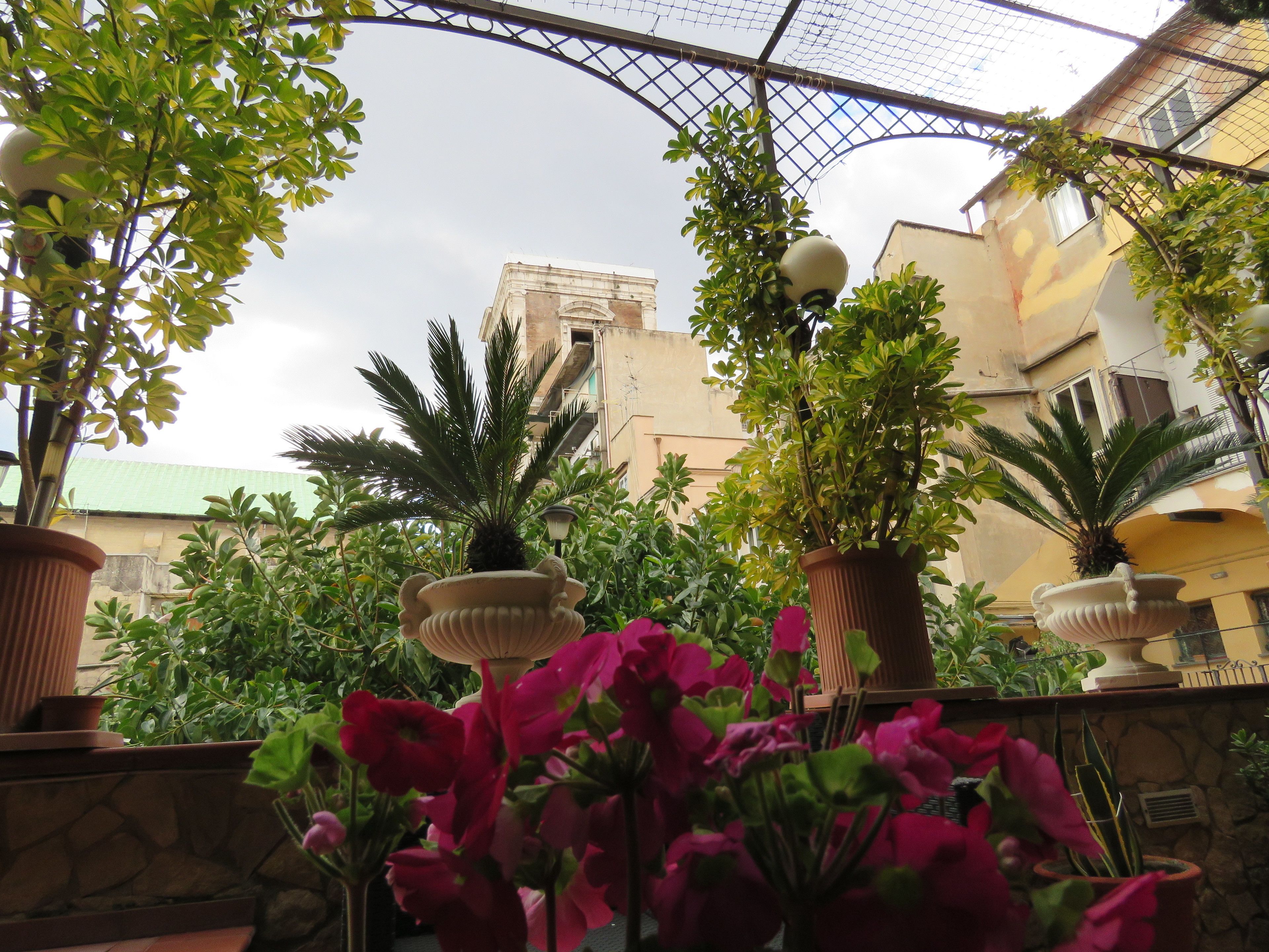 Foto - Bed & Breakfast Medea