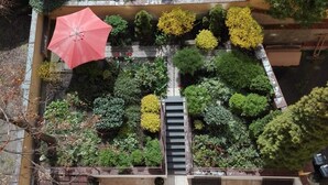Terrace/patio - Royal Plaza (Prague)