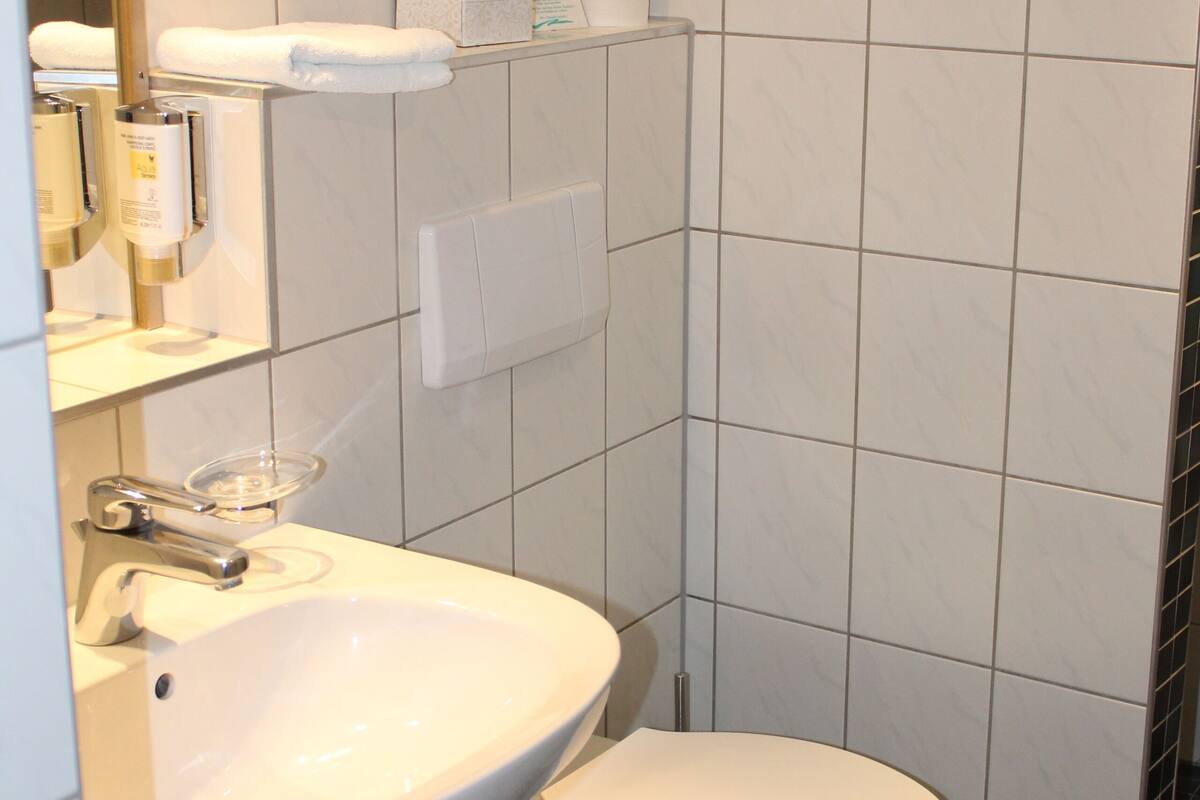 free toiletries, hair dryer, towels