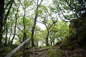 Pemandangan dari kamar