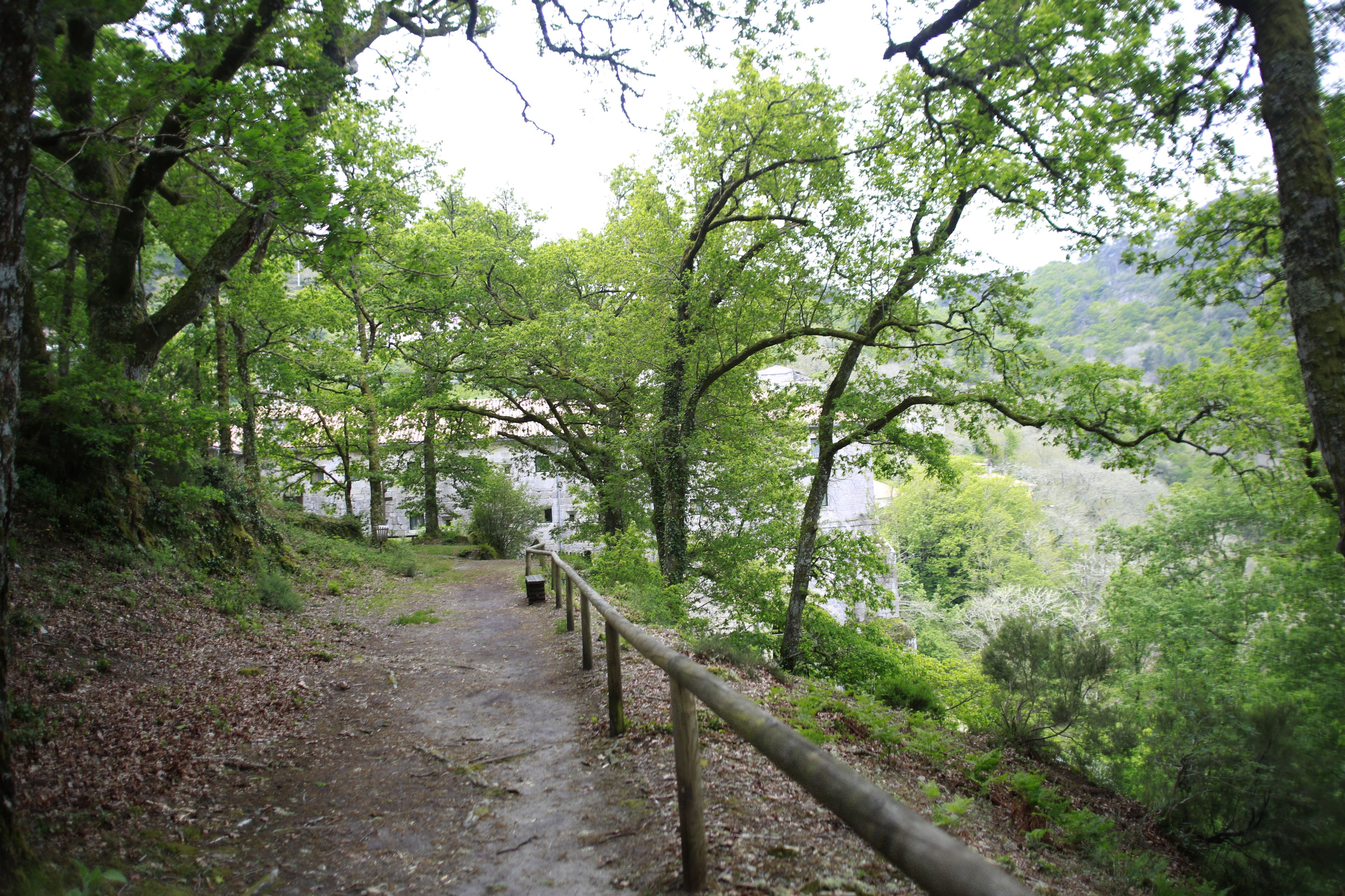 superior twin room | mountain view