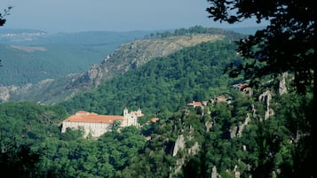 Un castillo rodeado de un bosque frondoso y terreno rocoso.