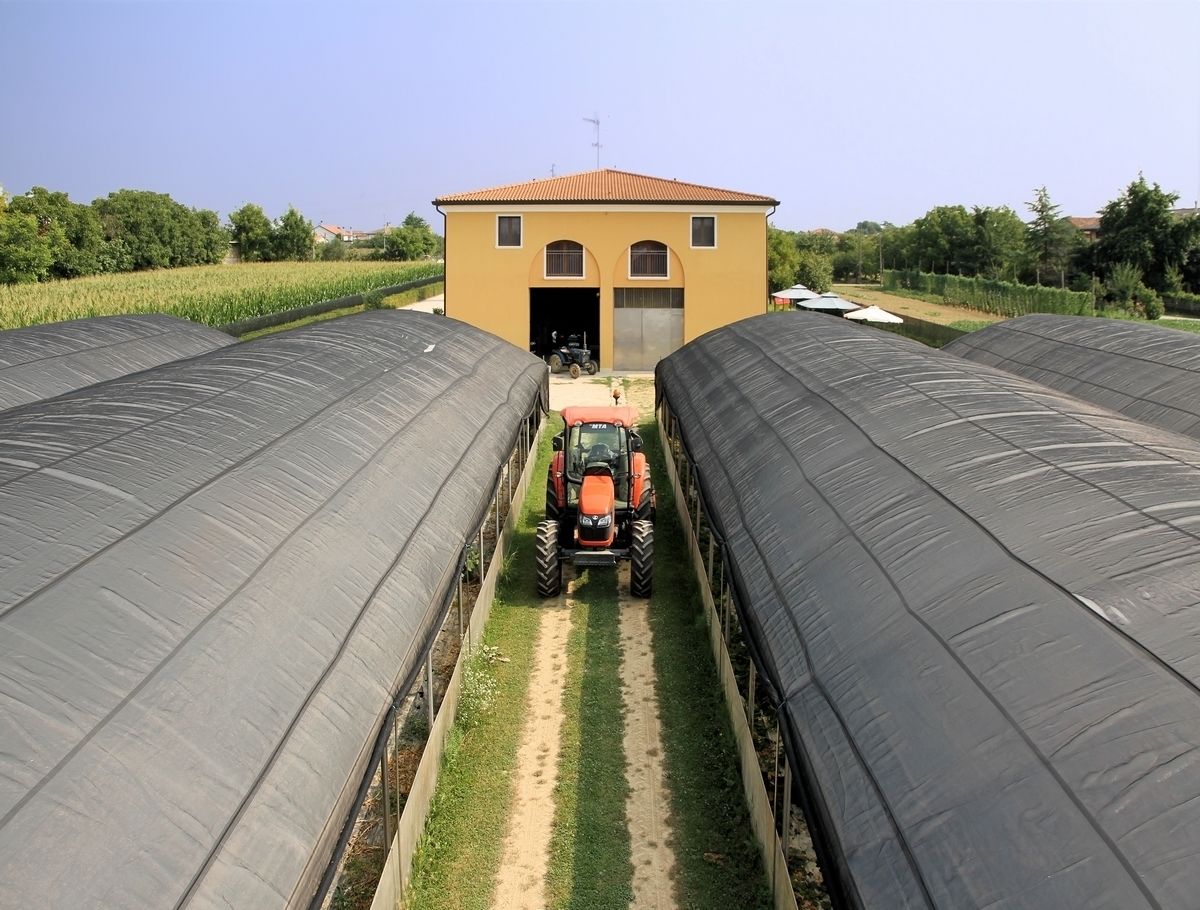 A tractor in a greenhouse with a building in the background.