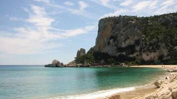 Playa en los alrededores