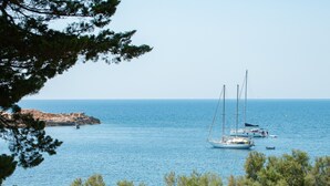 A coastal scene with sailboats on calm waters, surrounded by rocky terrain and pine trees.