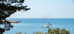 A coastal scene with sailboats on calm waters, surrounded by rocky terrain and pine trees.