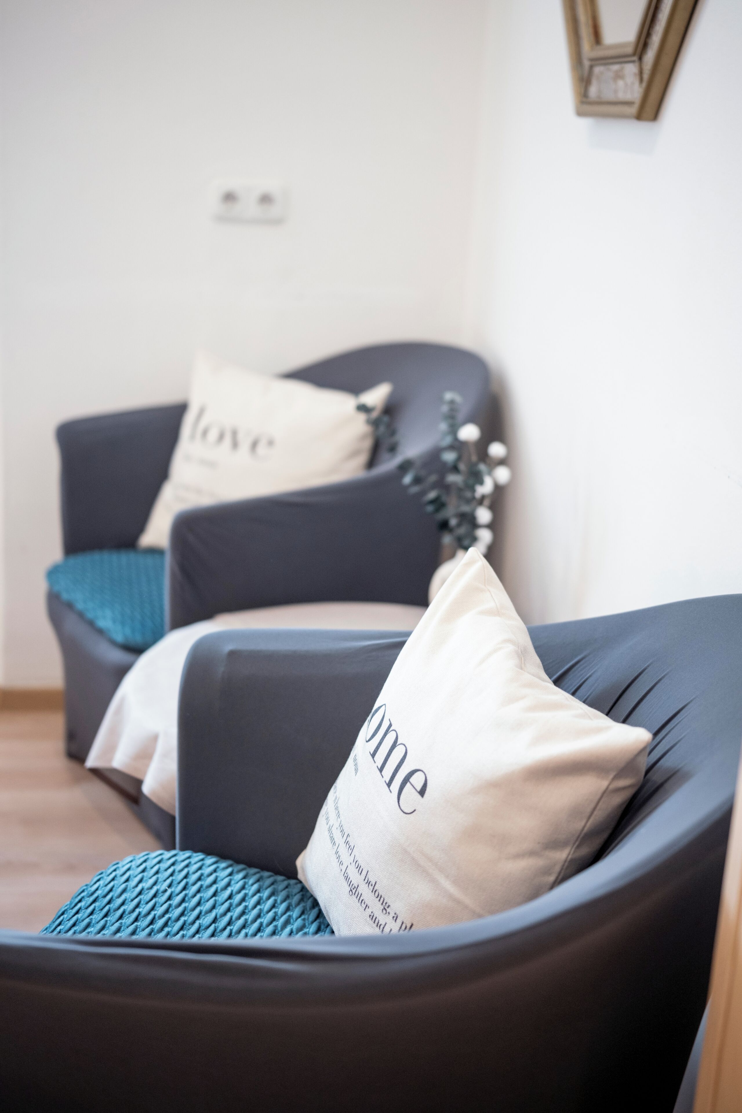 A modern living room with a dark-colored sofa, two decorative pillows, and a small plant.