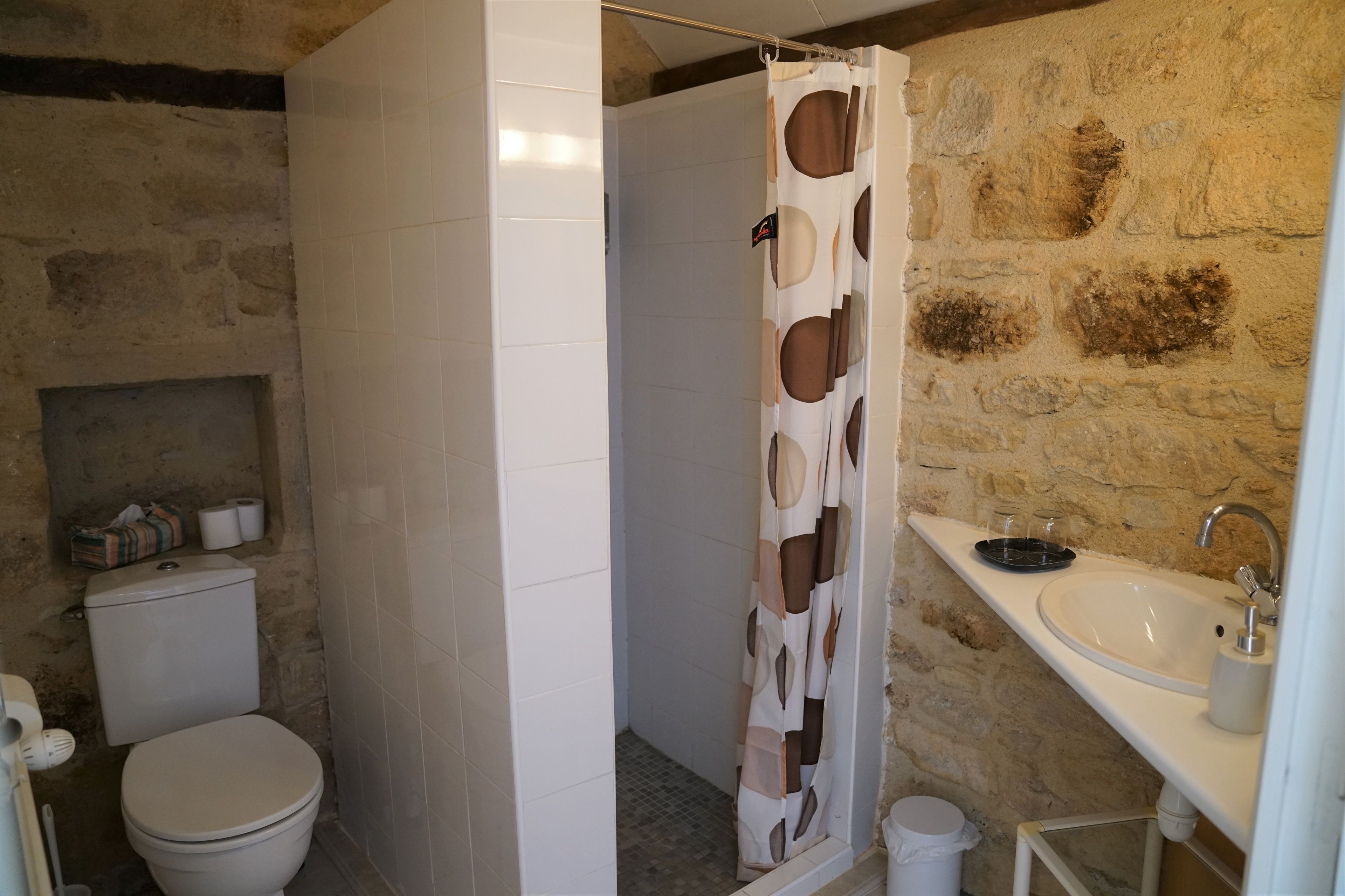 combined shower/bathtub, free toiletries, hair dryer, towels