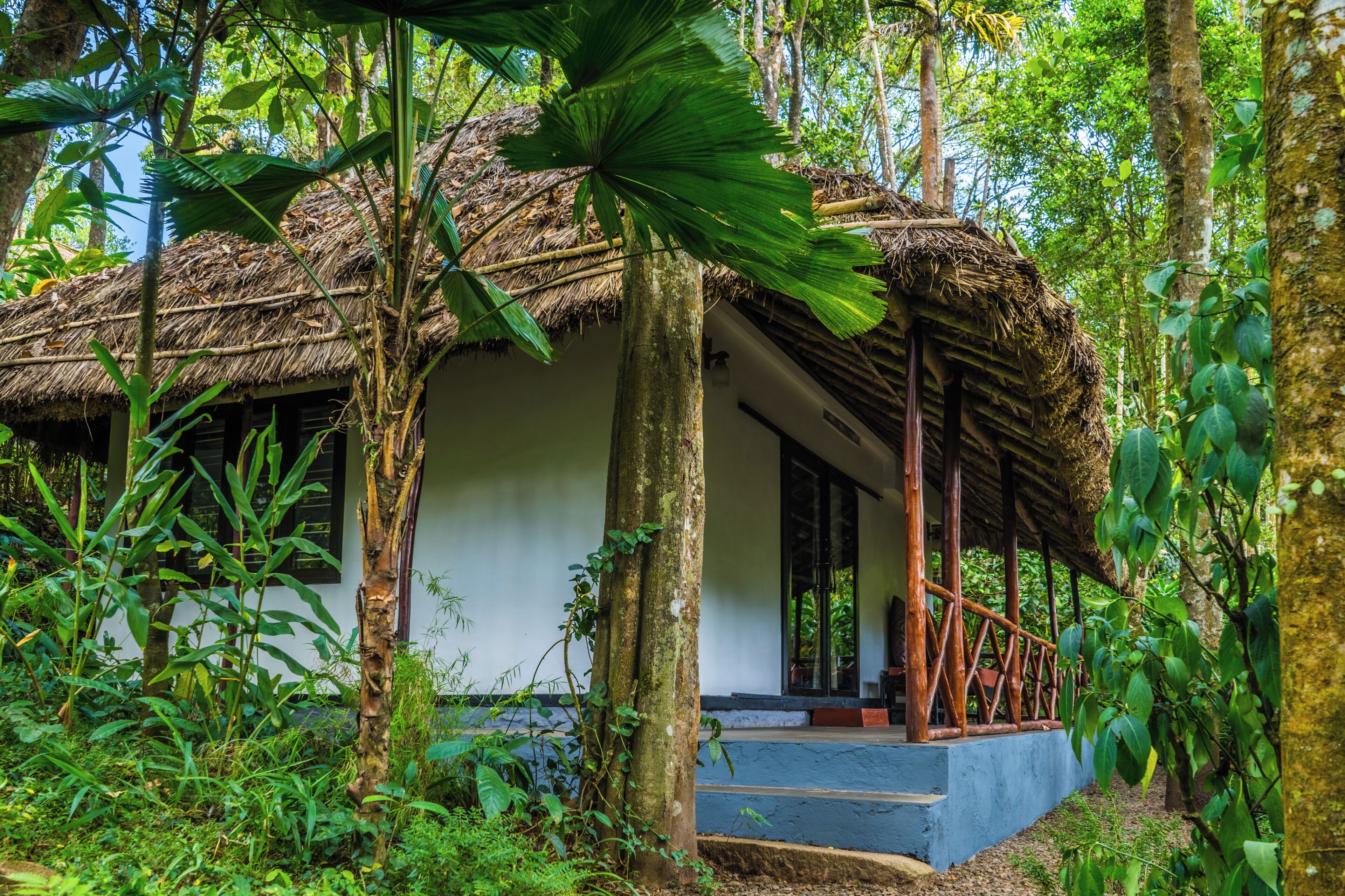 A thatched-roof hut with a wooden porch, surrounded by lush greenery.