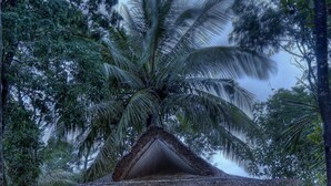 A cozy, well-lit house with a thatched roof, surrounded by lush greenery and a hammock. - Amritara Shalimar Spice Garden Resort & Spa (Peermade)