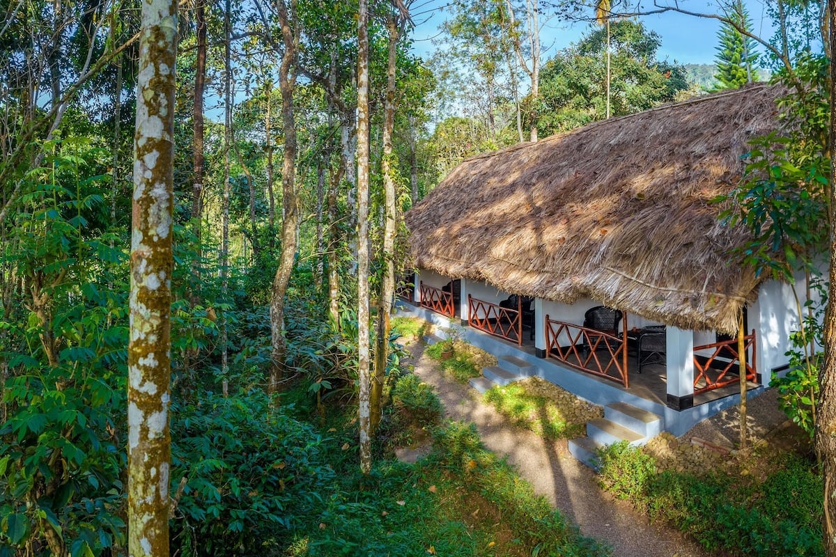 A thatched-roof structure surrounded by dense forest, with a visible staircase leading up to it.
