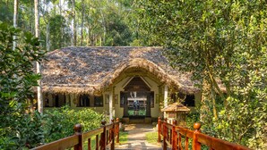 A wooden pathway leading to a thatched-roof building surrounded by lush greenery. - Amritara Shalimar Spice Garden Resort & Spa (Peermade)