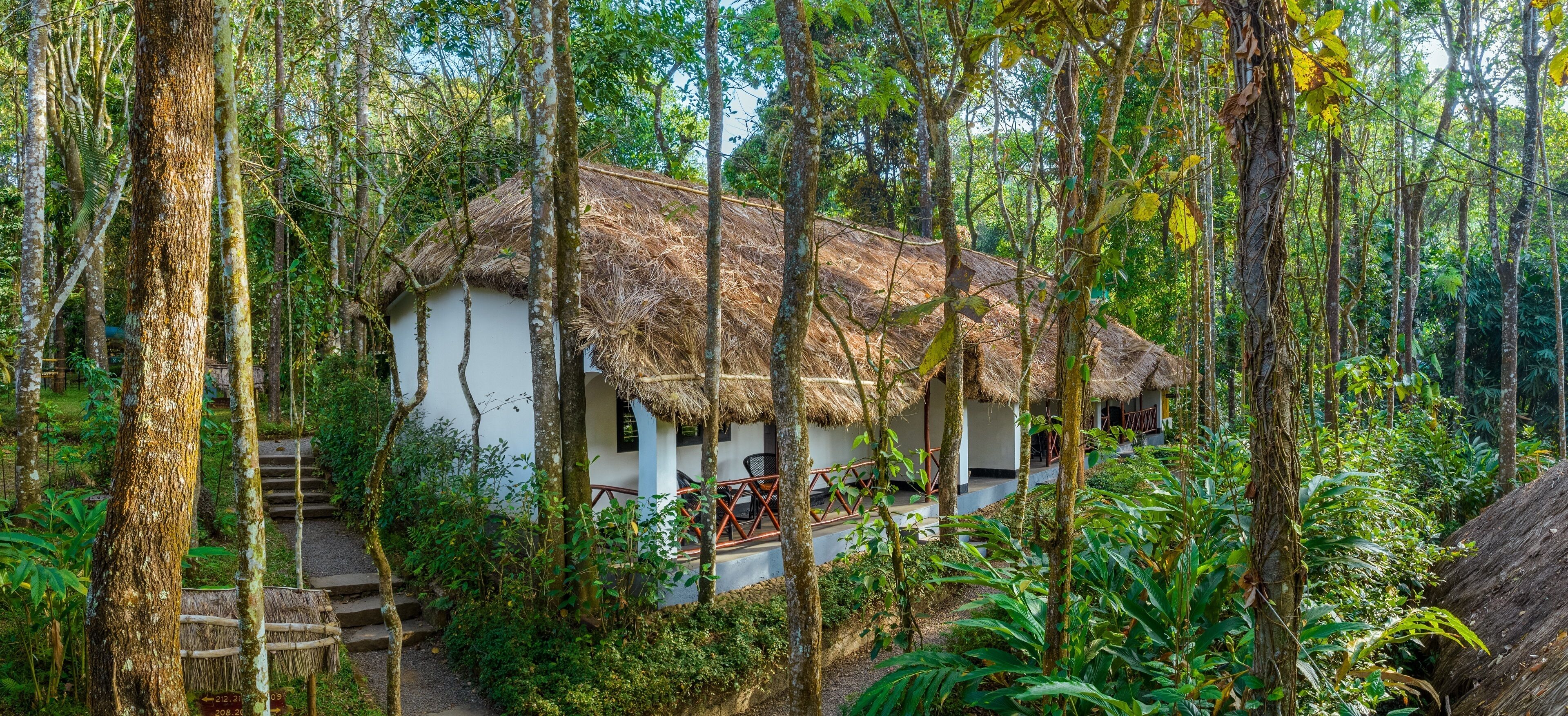 elegant room | garden view