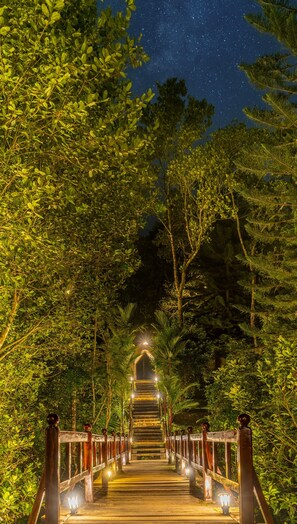 A wooden pathway leading to a structure with a pointed roof, surrounded by dense foliage and illuminated by lights. - Amritara Shalimar Spice Garden Resort & Spa (Peermade)
