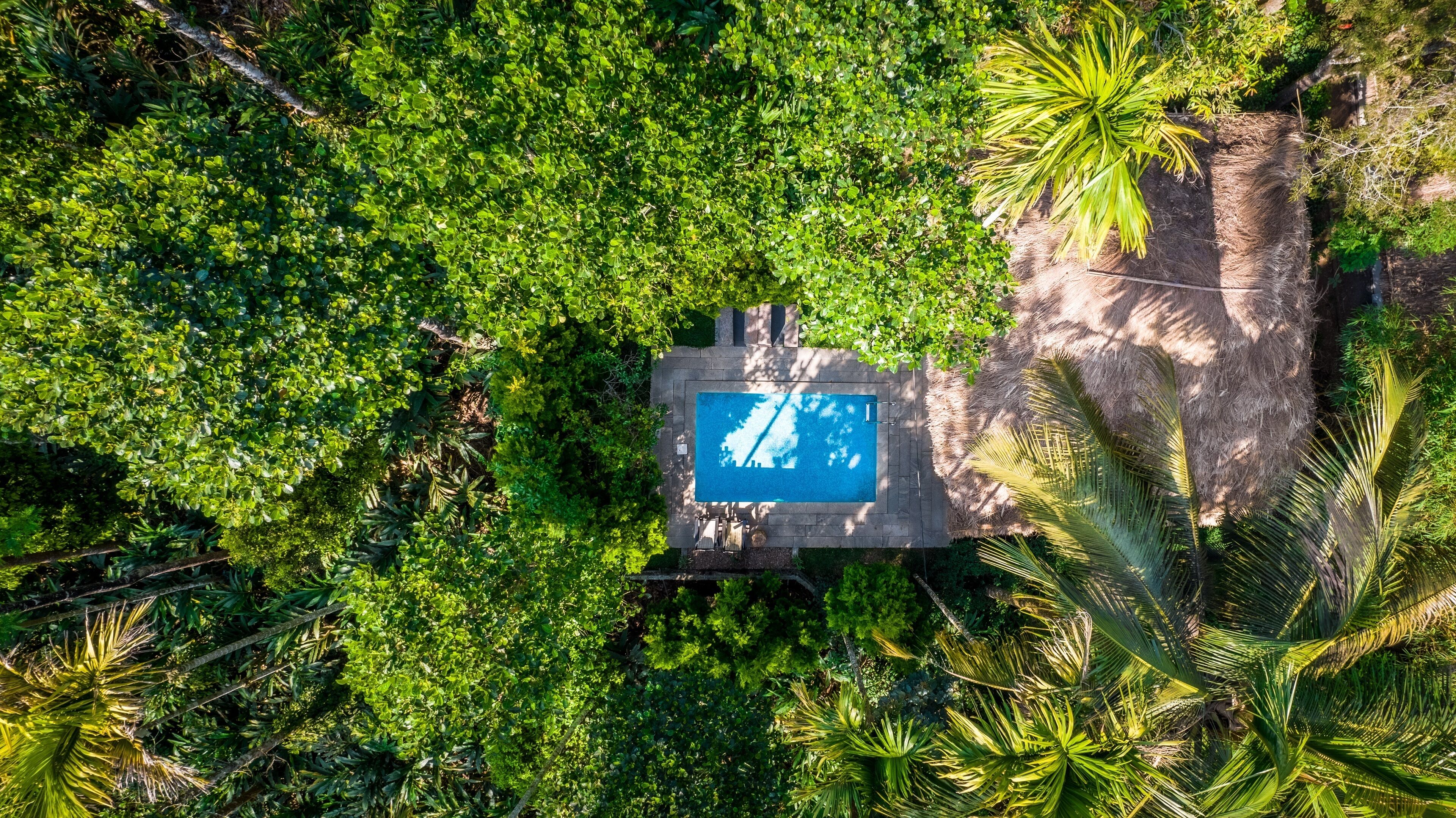 Eine Vogelperspektive auf ein Schwimmbad, umgeben von üppiger Vegetation und Palmen.