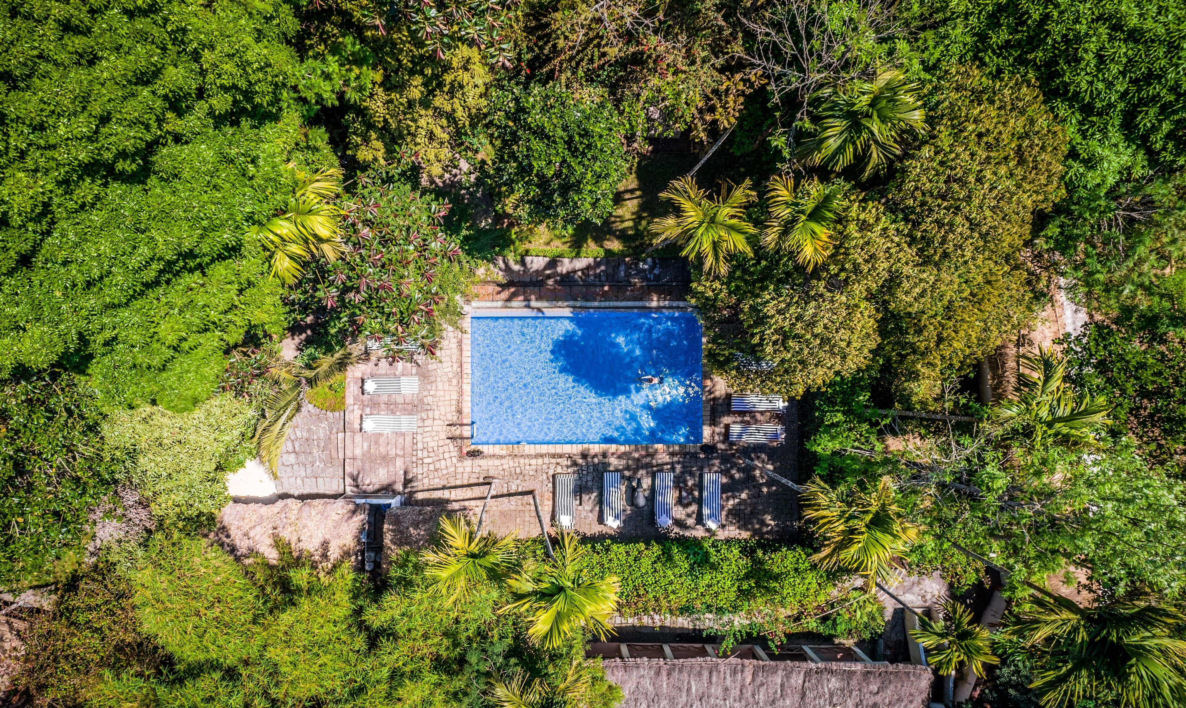 Outdoor pool, sun loungers