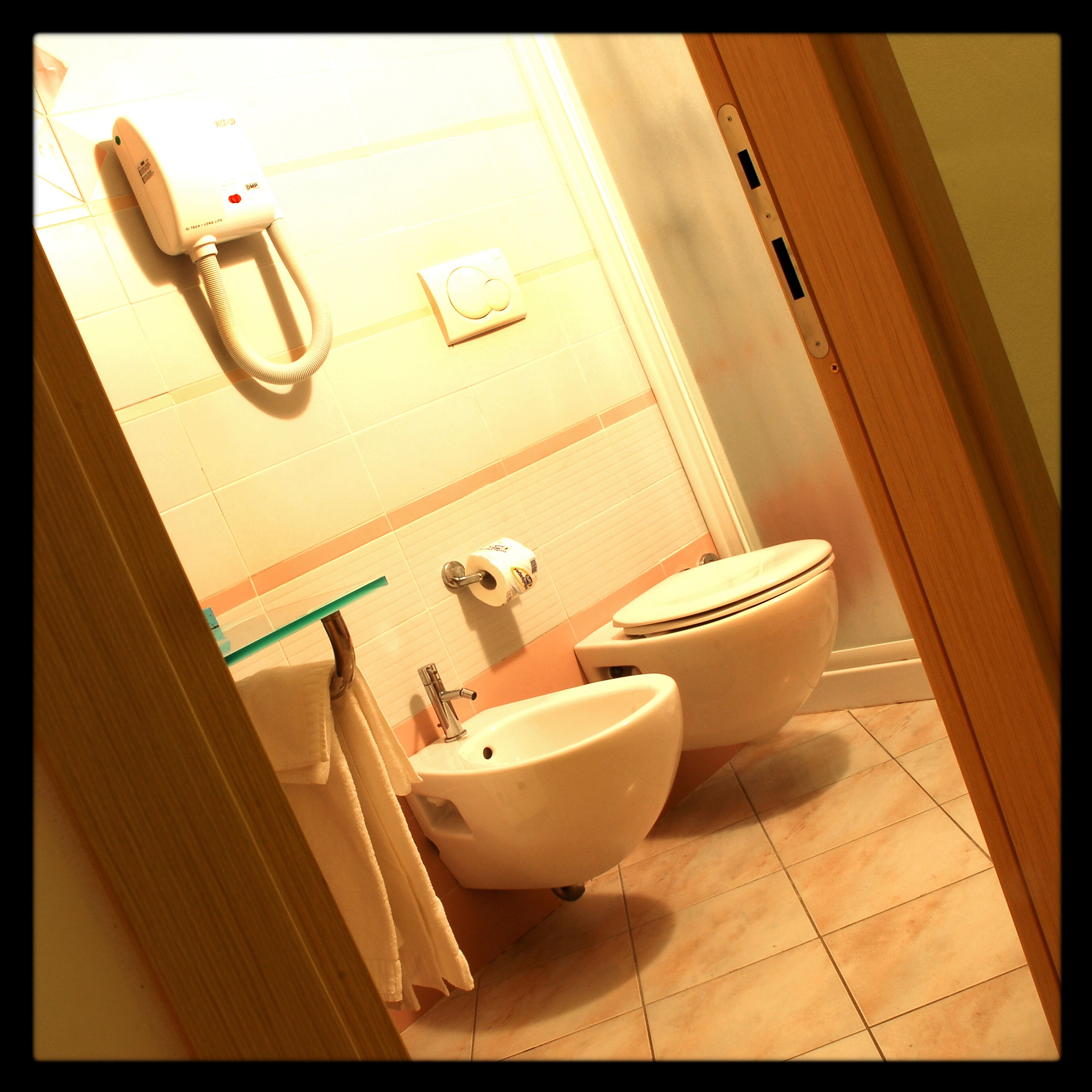 shower, free toiletries, hair dryer, bidet