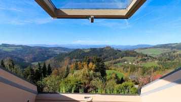 Family Room, 2 Bedrooms, Terrace, Mountain View | Living area | Foosball, table tennis, toys, books