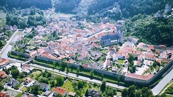 An aerial view of a town with a prominent castle, surrounded by residential buildings and greenery.
