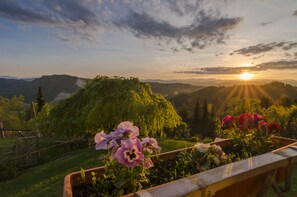 Vistas a la montaña