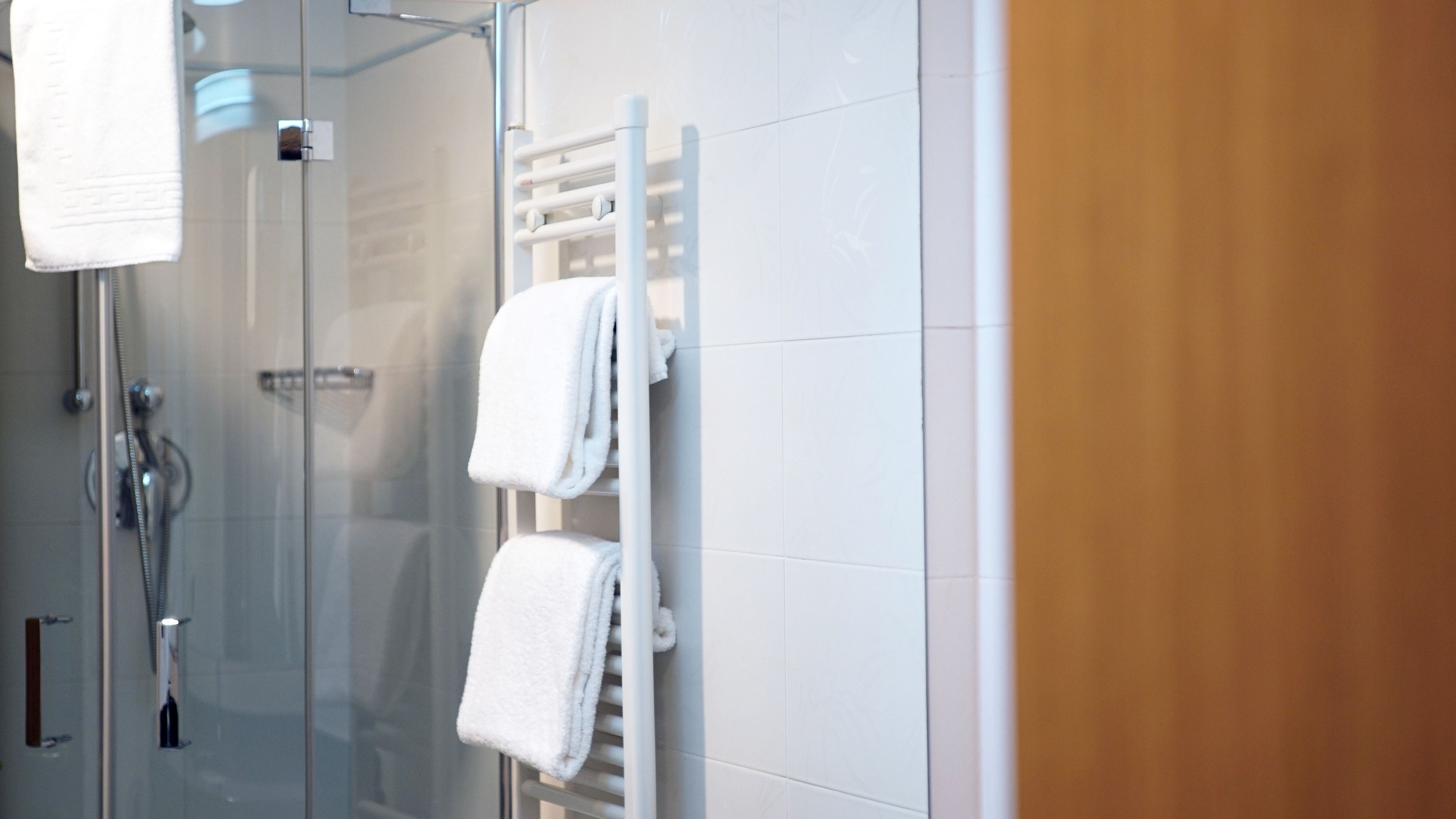 shower, free toiletries, hair dryer, bidet