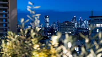 Silhueta urbana ao entardecer, com edifícios ao fundo.
