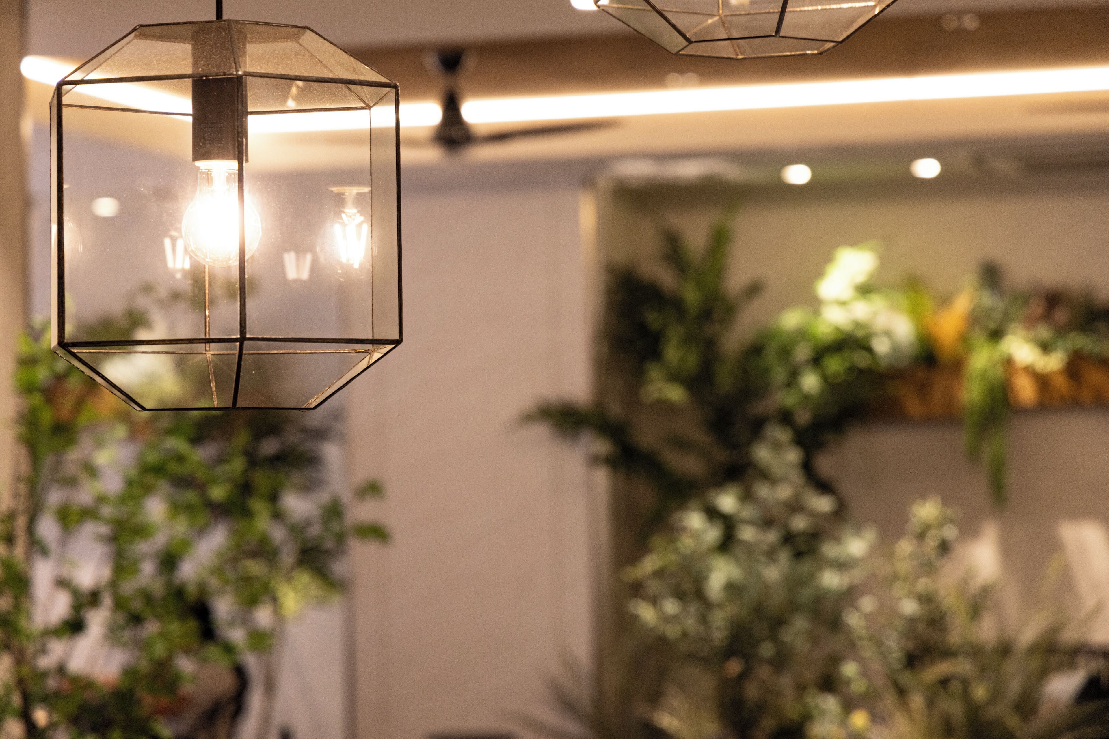A hanging geometric light fixture with multiple bulbs, a ceiling fan, and indoor plants in a well-lit room.