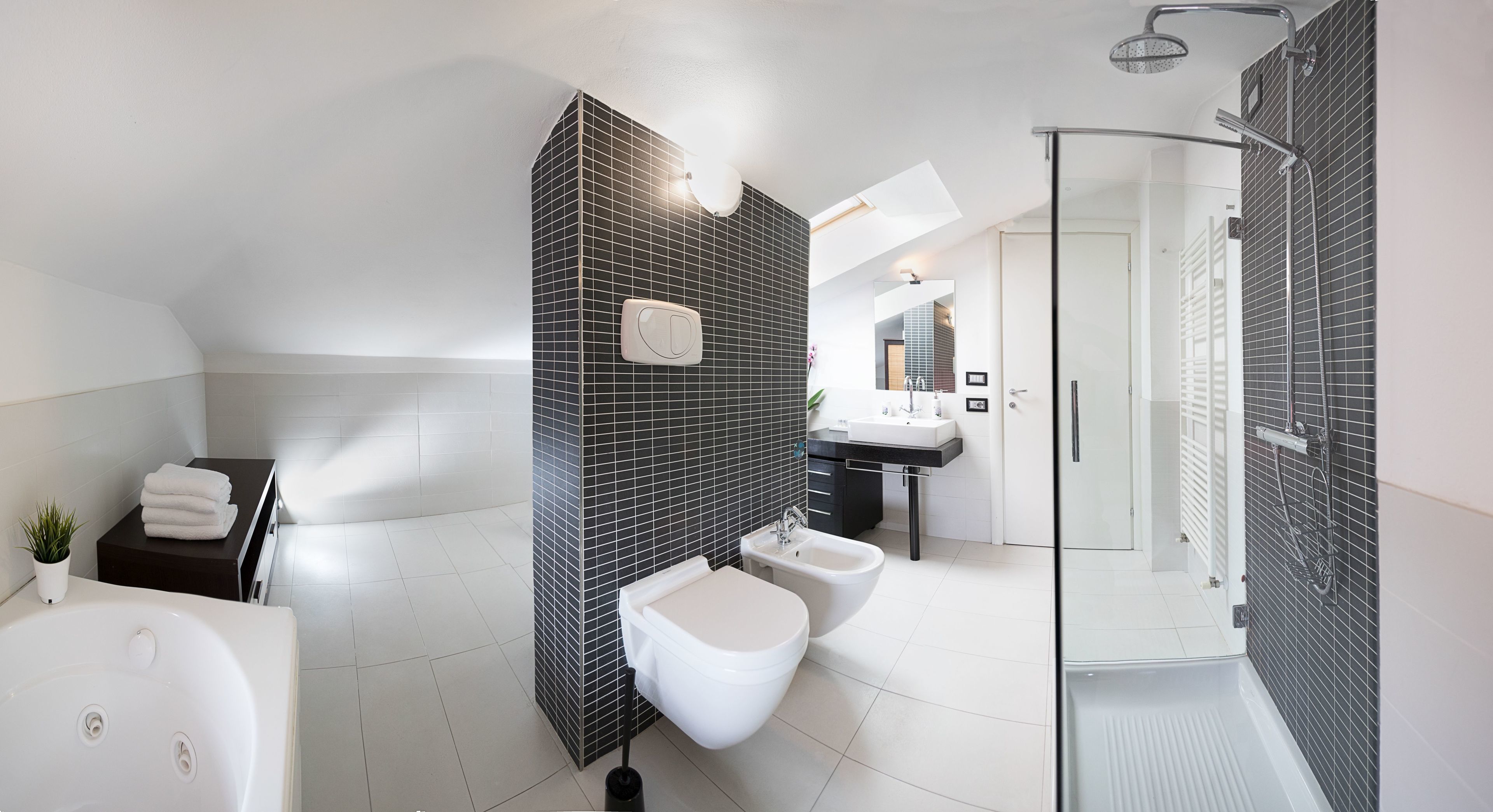 Shower, free toiletries, hair dryer, bidet