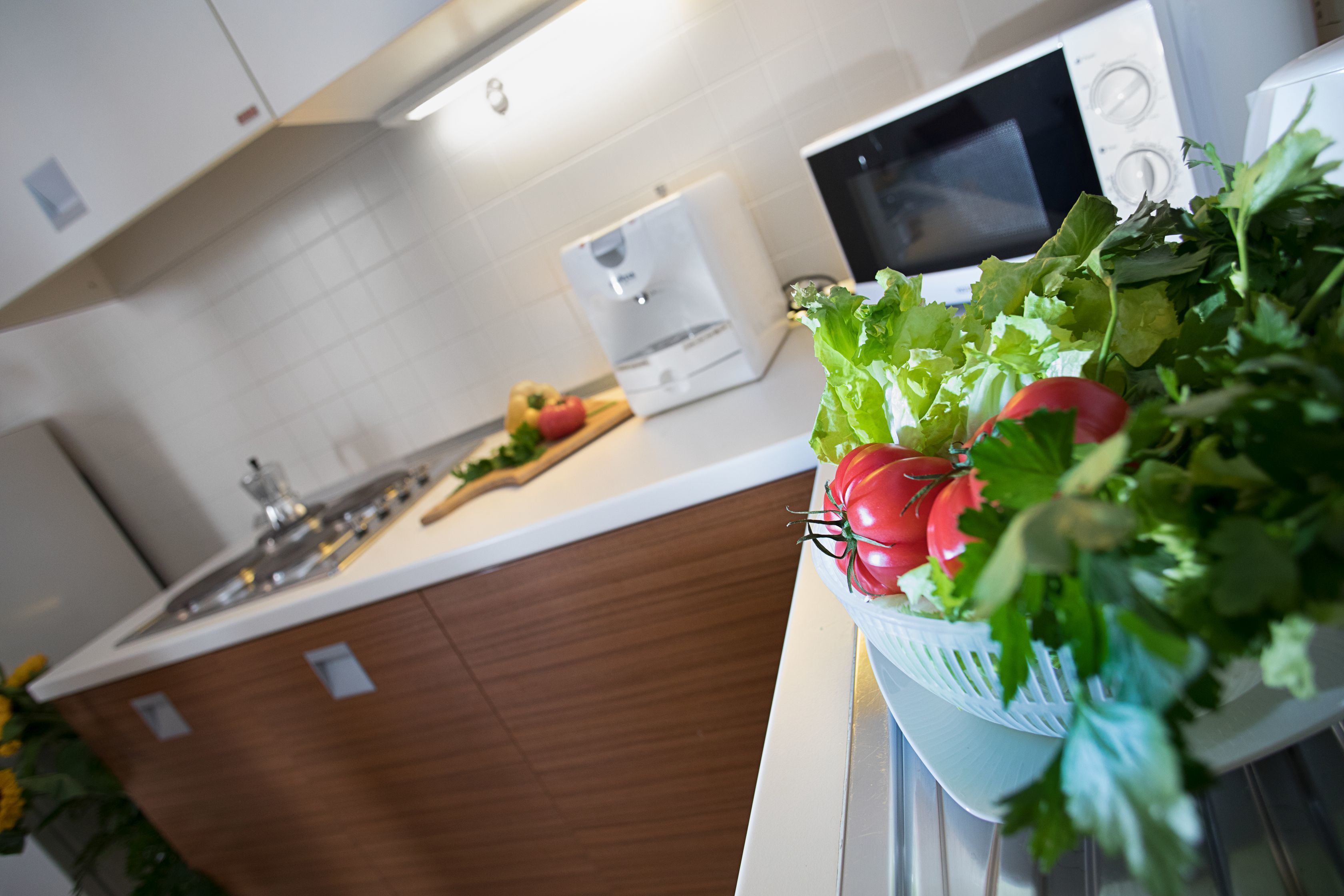 Apartment, 1 Bedroom, Kitchenette | Private kitchen | Full-size fridge, microwave, stovetop, espresso maker