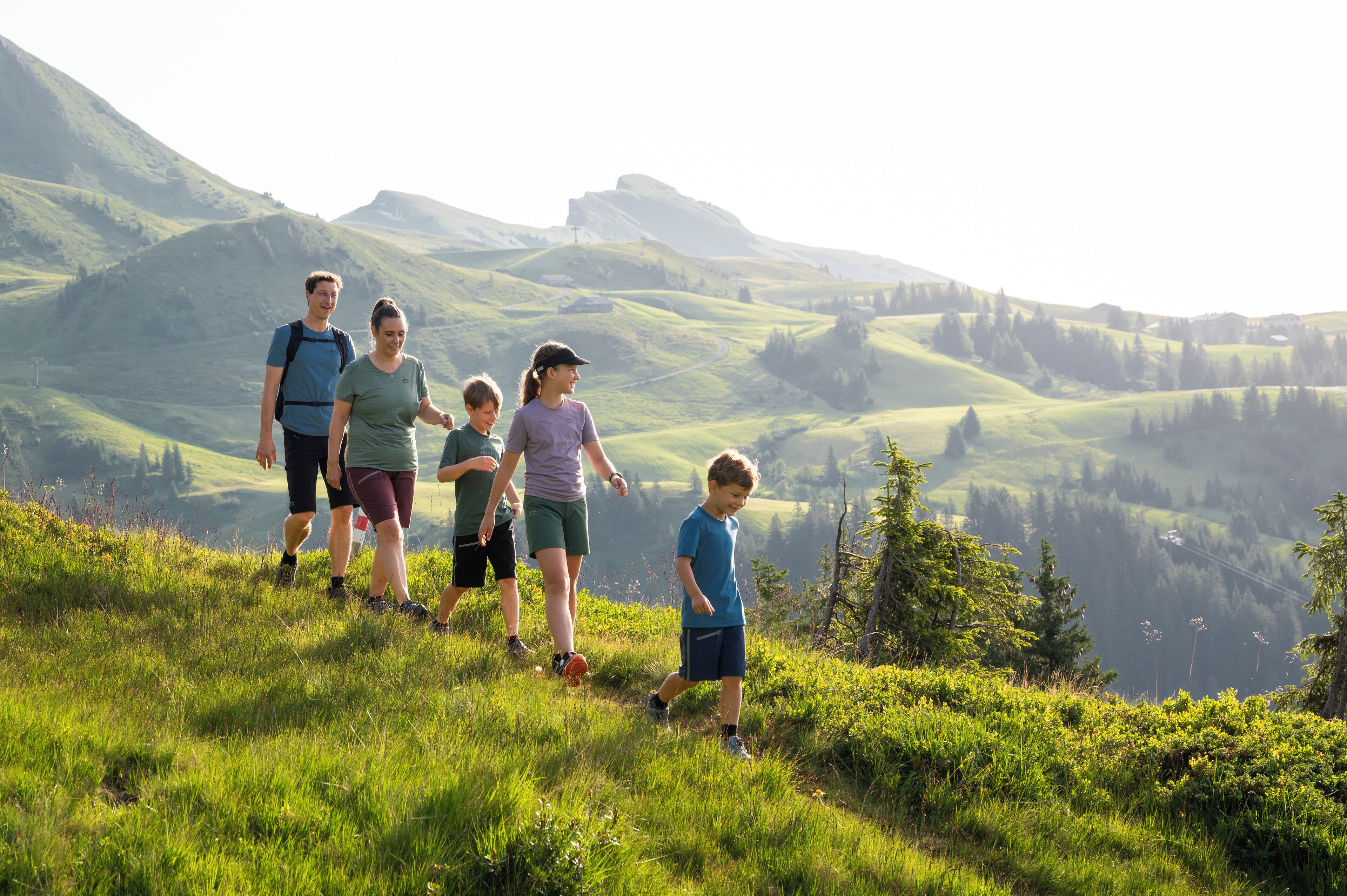 land view from property