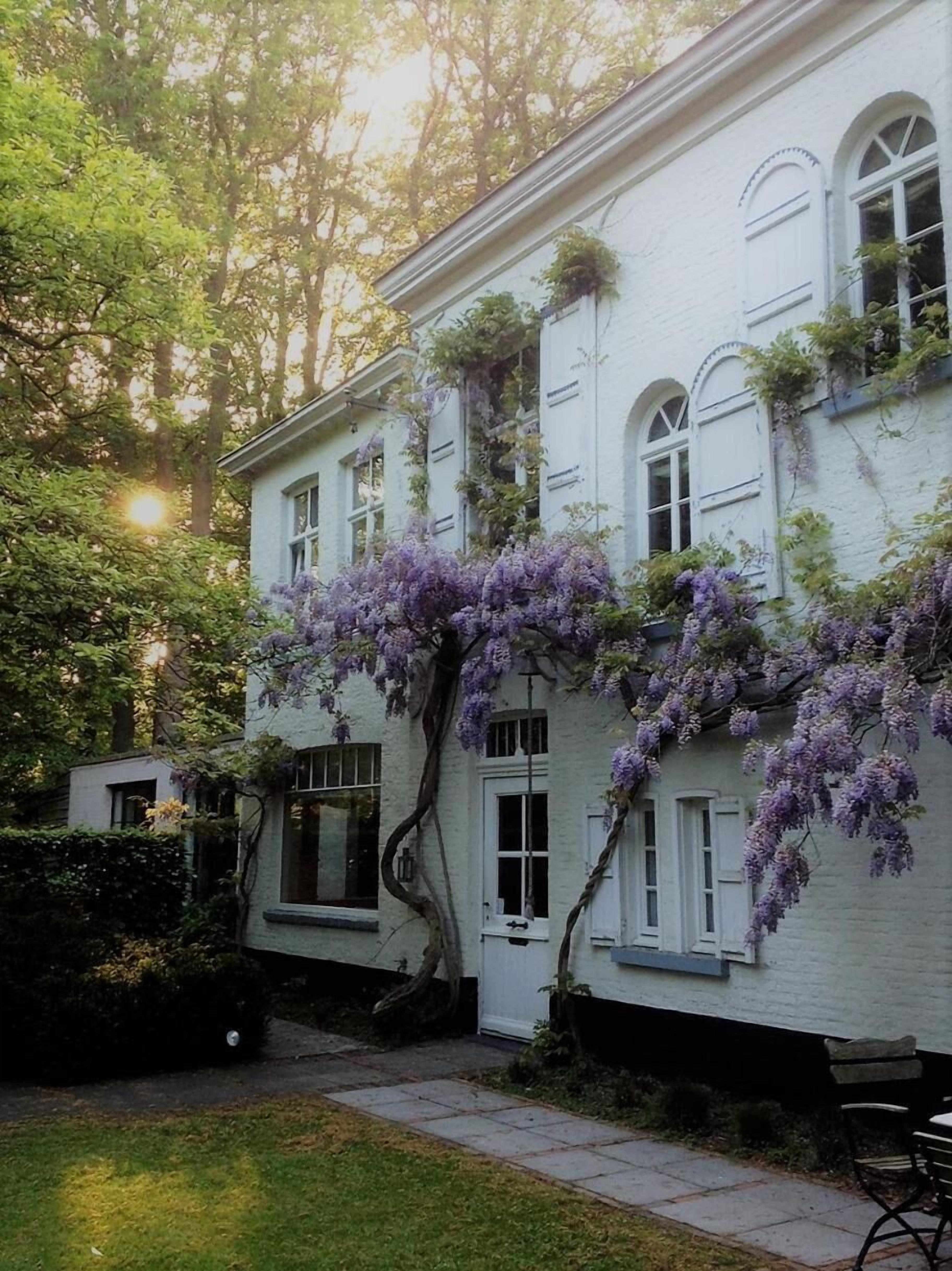 Foto - B&B 't Wit Huys Brugge