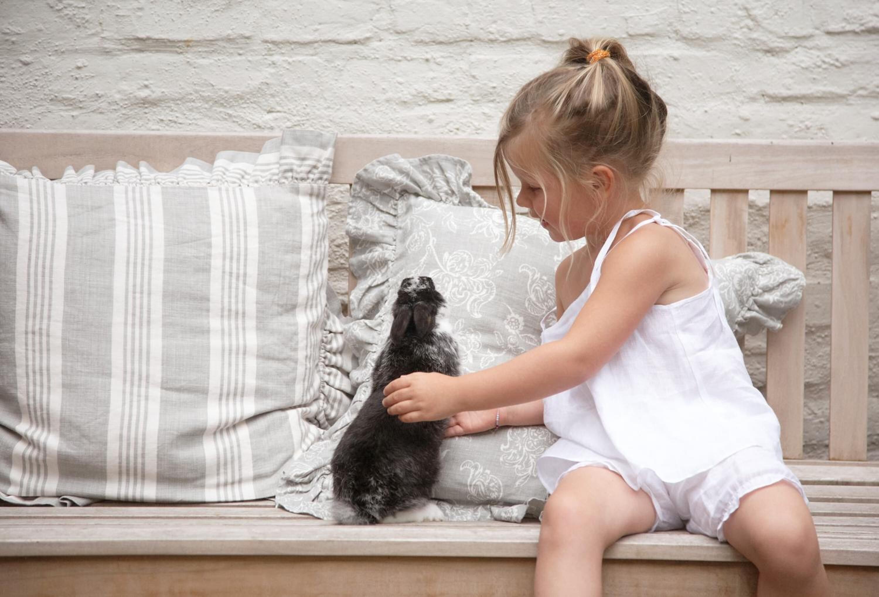 Foto - B&B 't Wit Huys Brugge