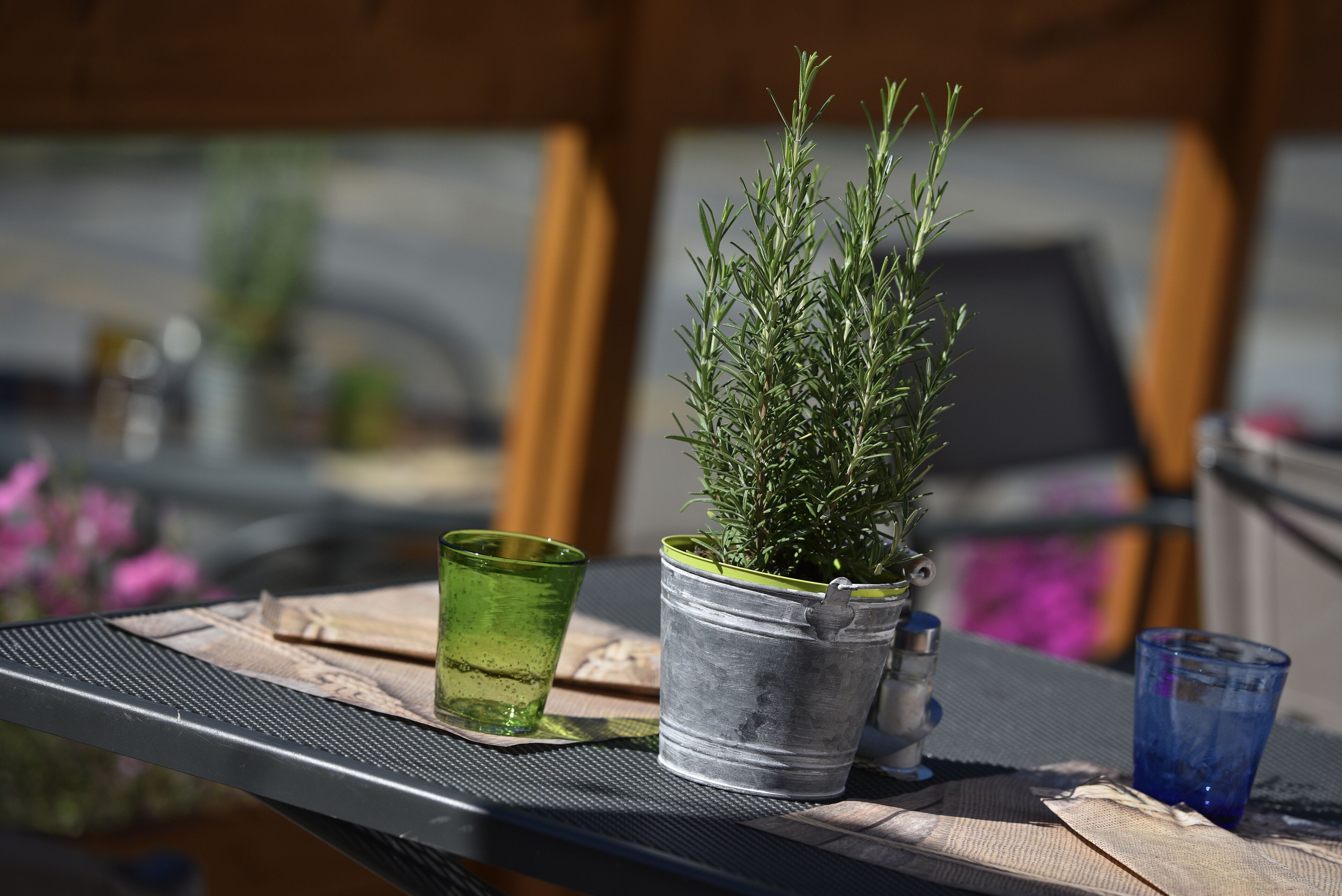 Una mesa de metal con una planta en maceta, dos vasos y un posavasos de madera.