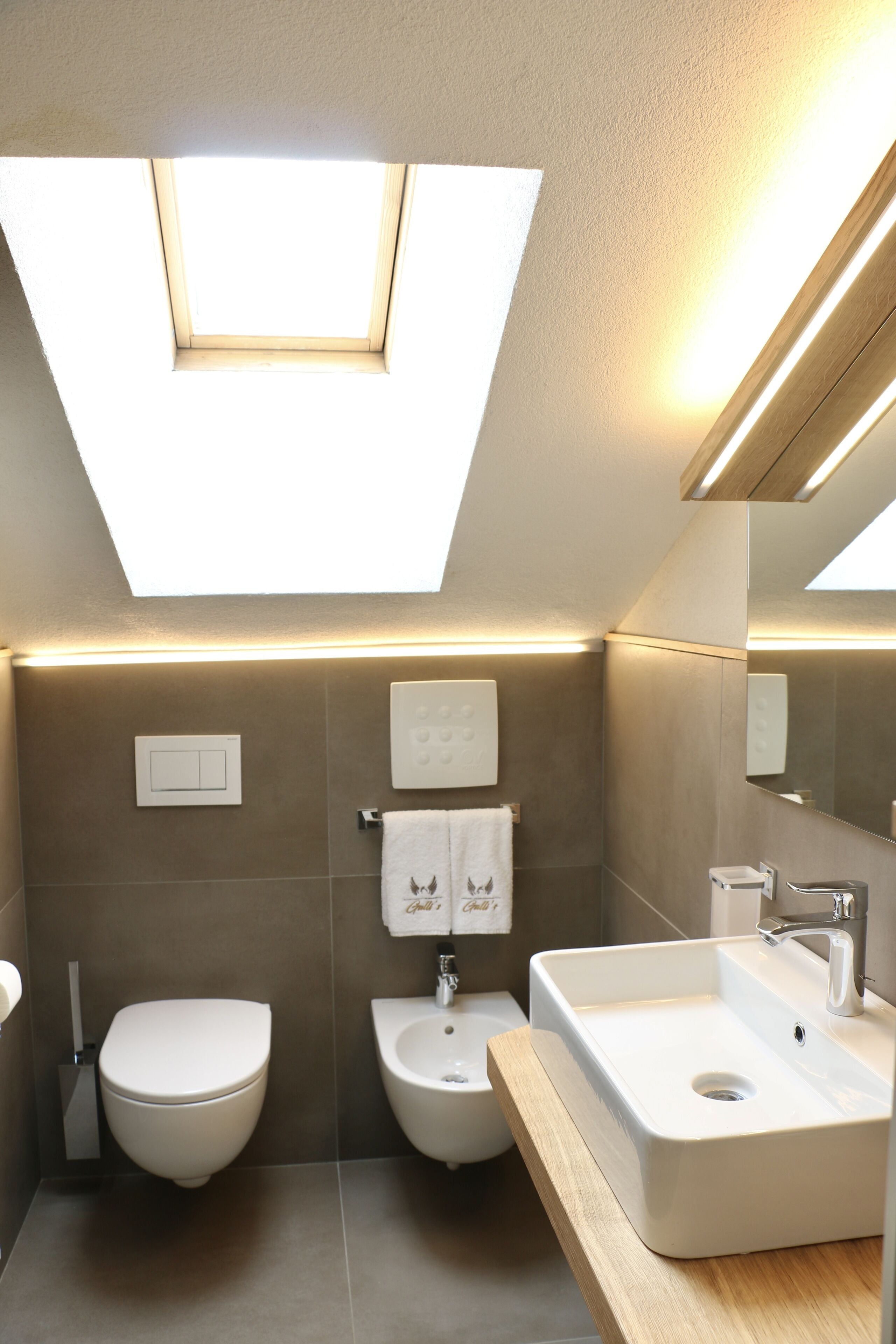 Un baño moderno con tragaluz, inodoro, bidé y un lavabo grande.