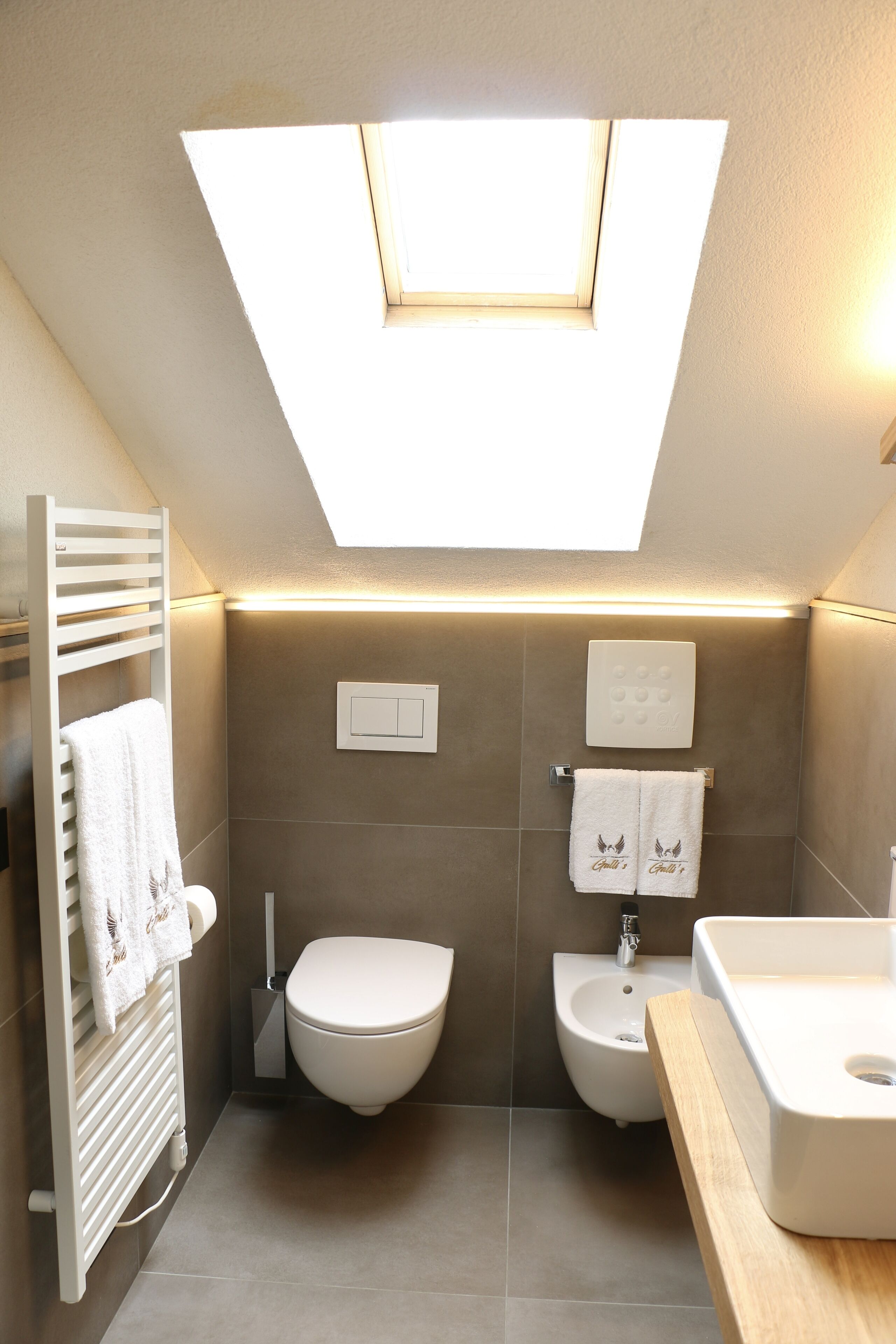 Une salle de bain moderne dotée d’un puits de lumière, de toilettes, d’un bidet et d’un lavabo.