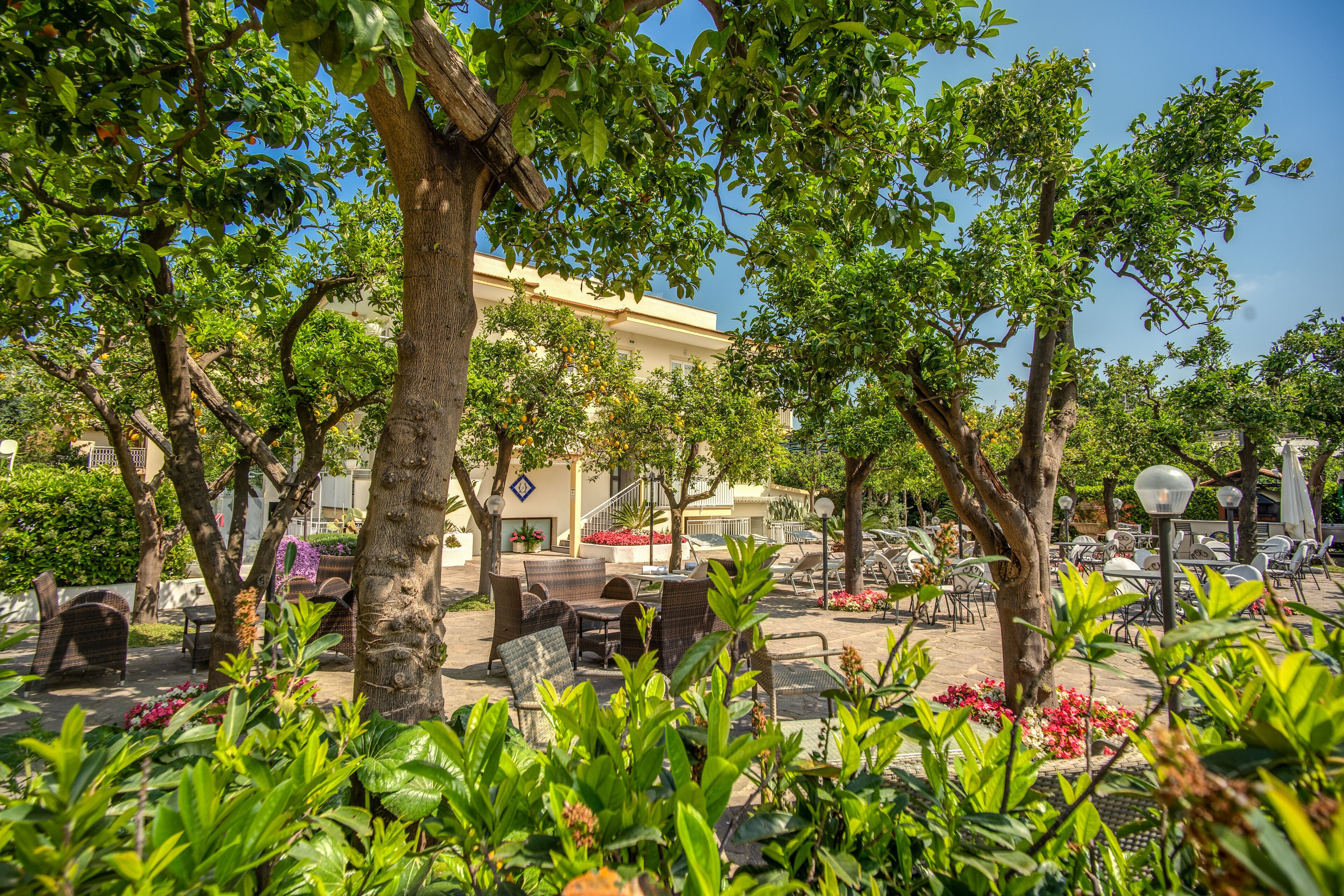 Photo - Hotel Florida