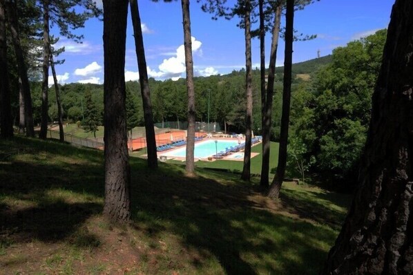 Seasonal outdoor pool, pool umbrellas, pool loungers